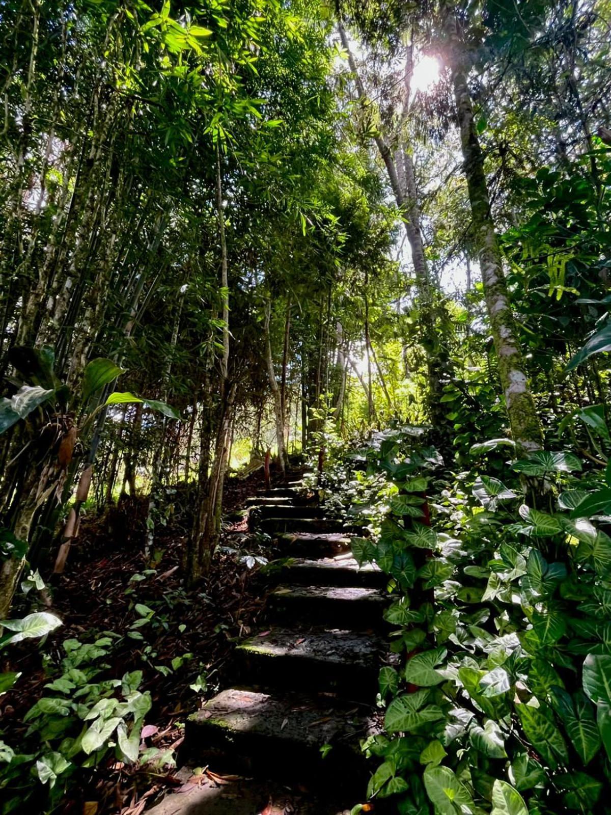 Refugio De Orquideas Lodge Oxapampa