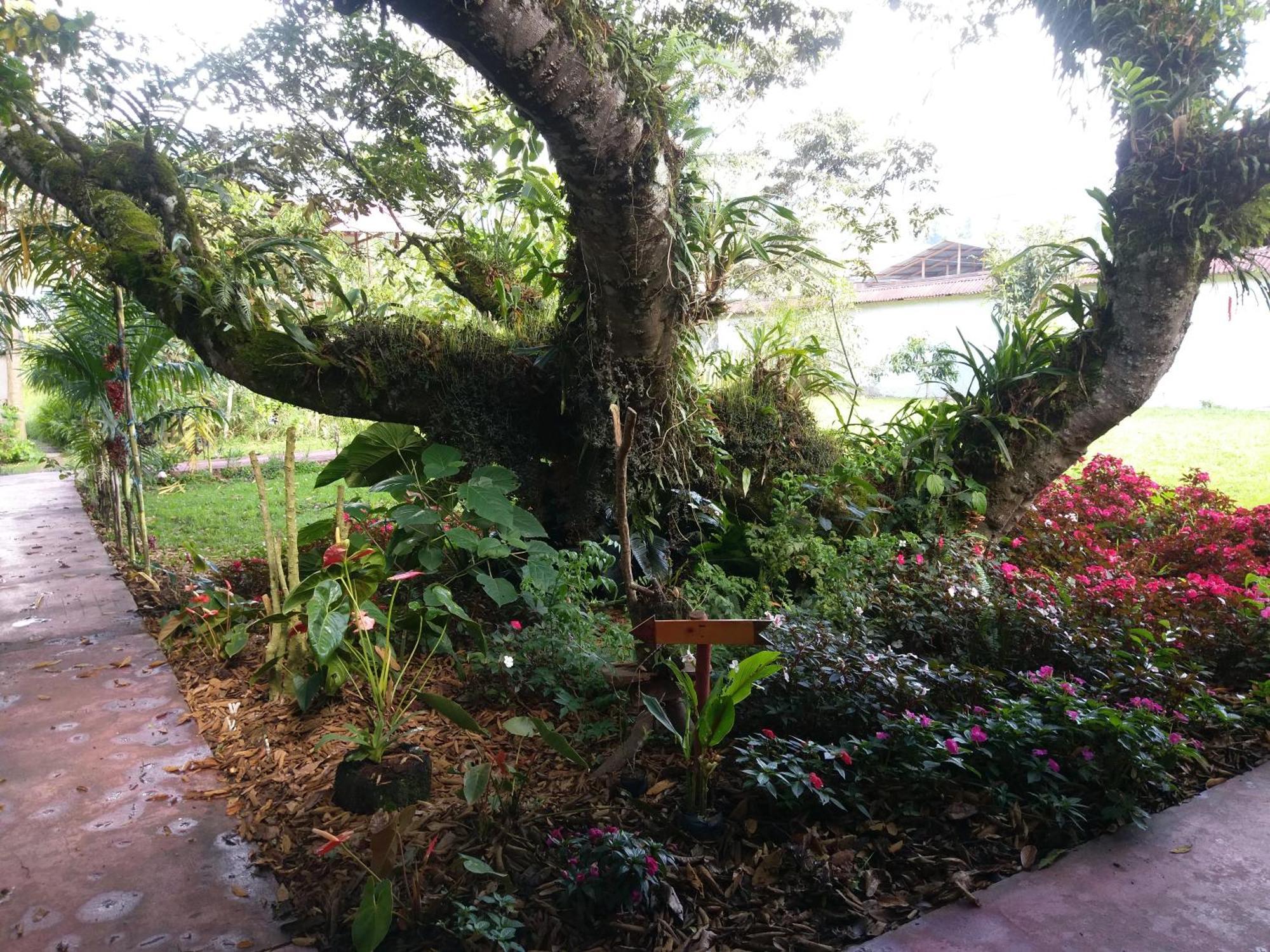 Refugio De Orquideas Lodge *