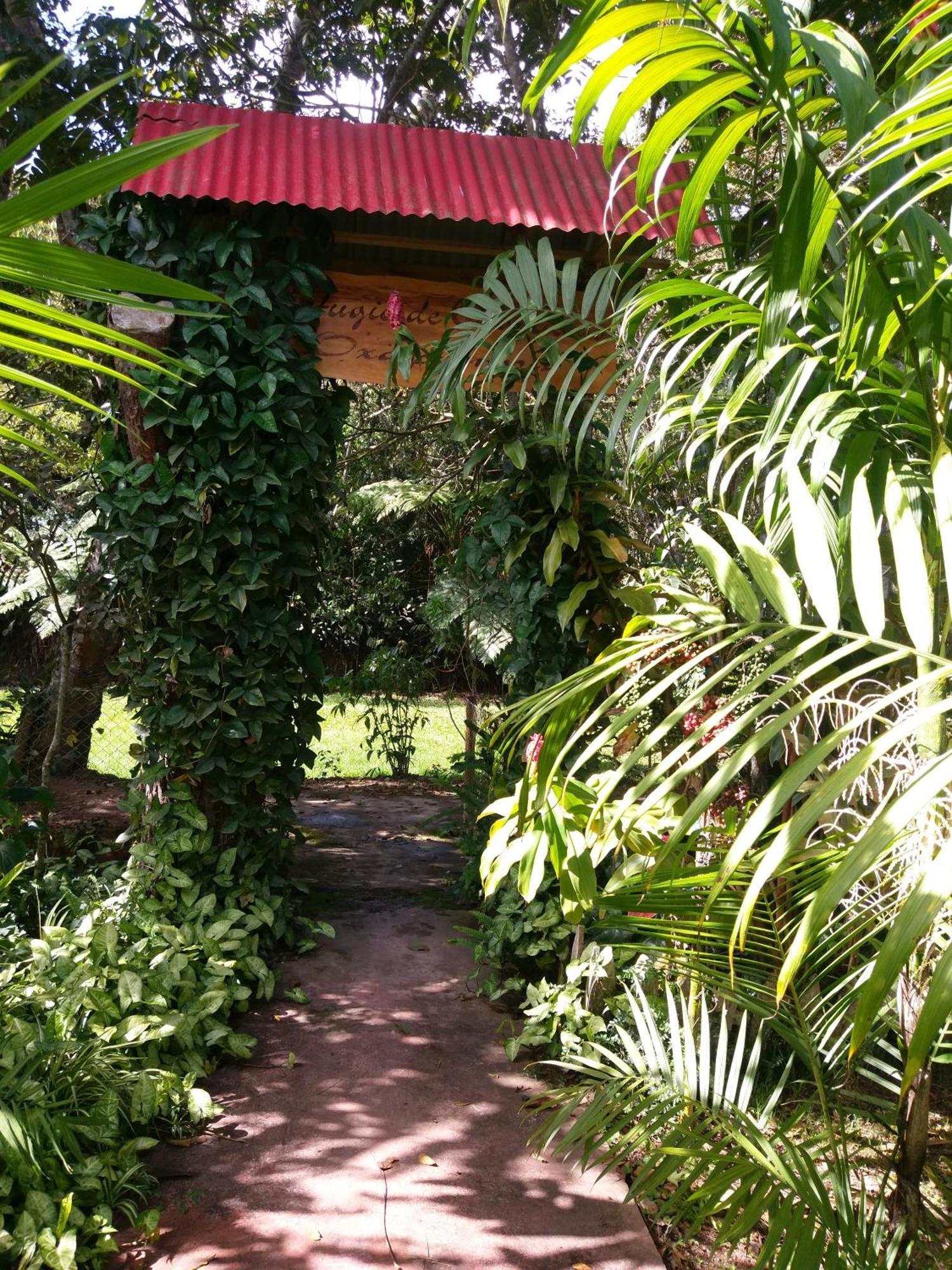 Refugio De Orquideas Oxapampa