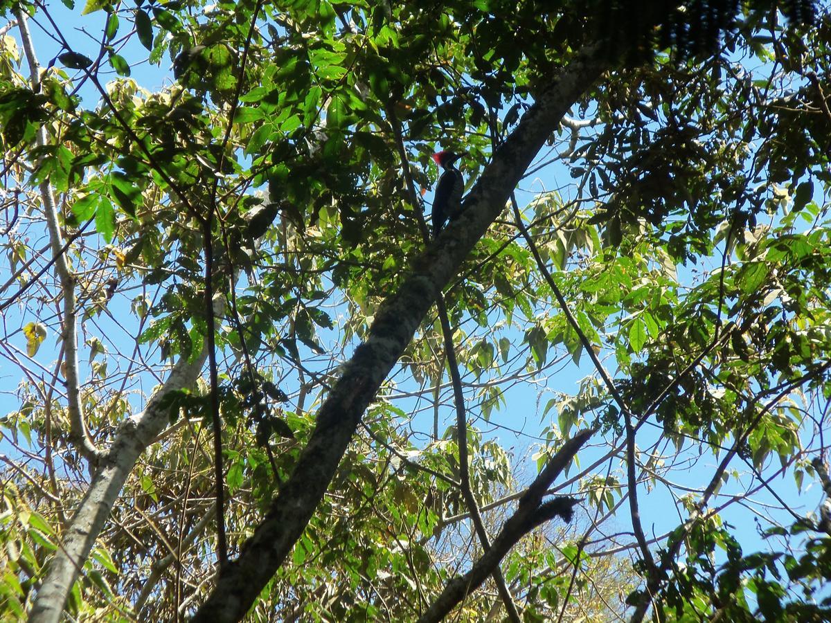 Lodge Refugio De Orquideas Oxapampa