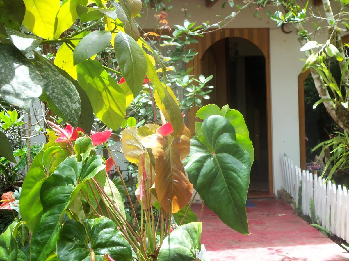 Refugio De Orquideas * Oxapampa