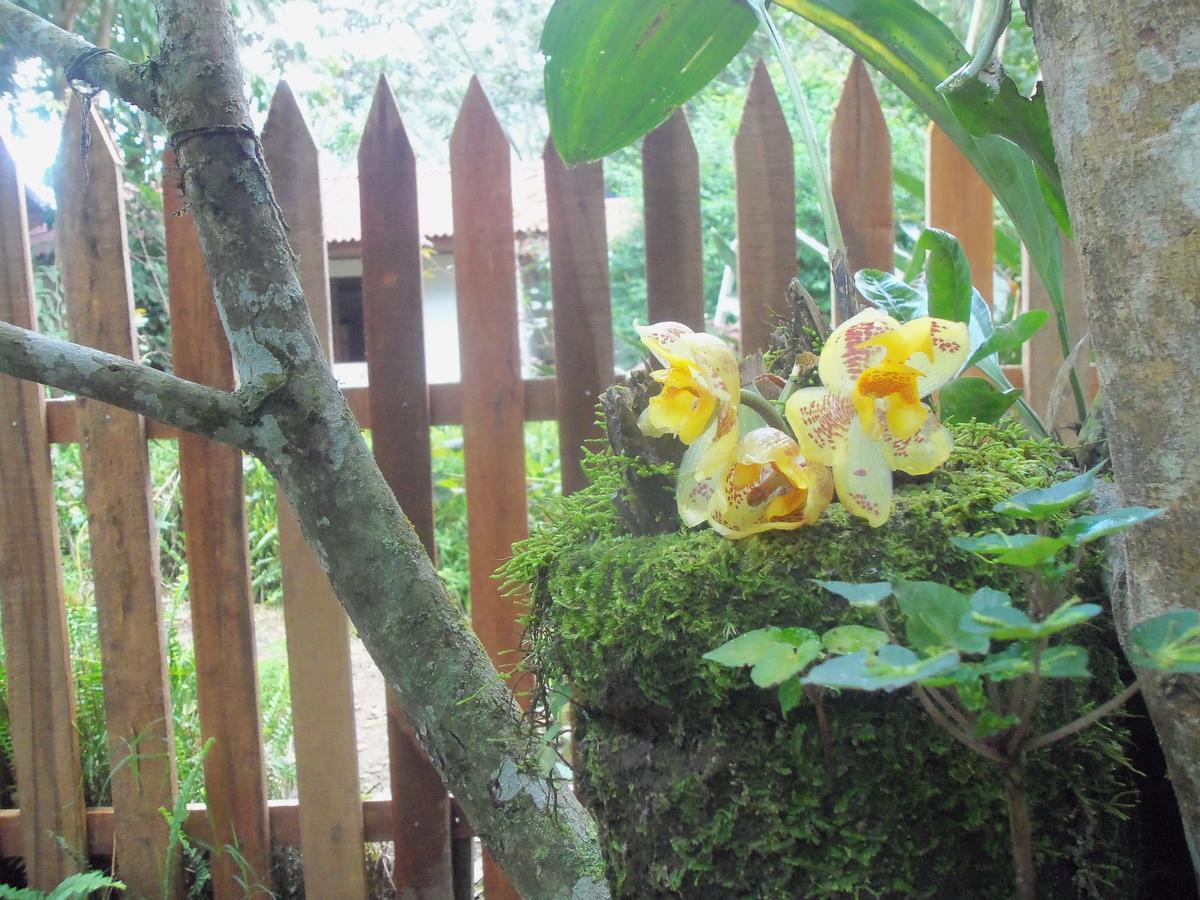 Refugio De Orquideas *