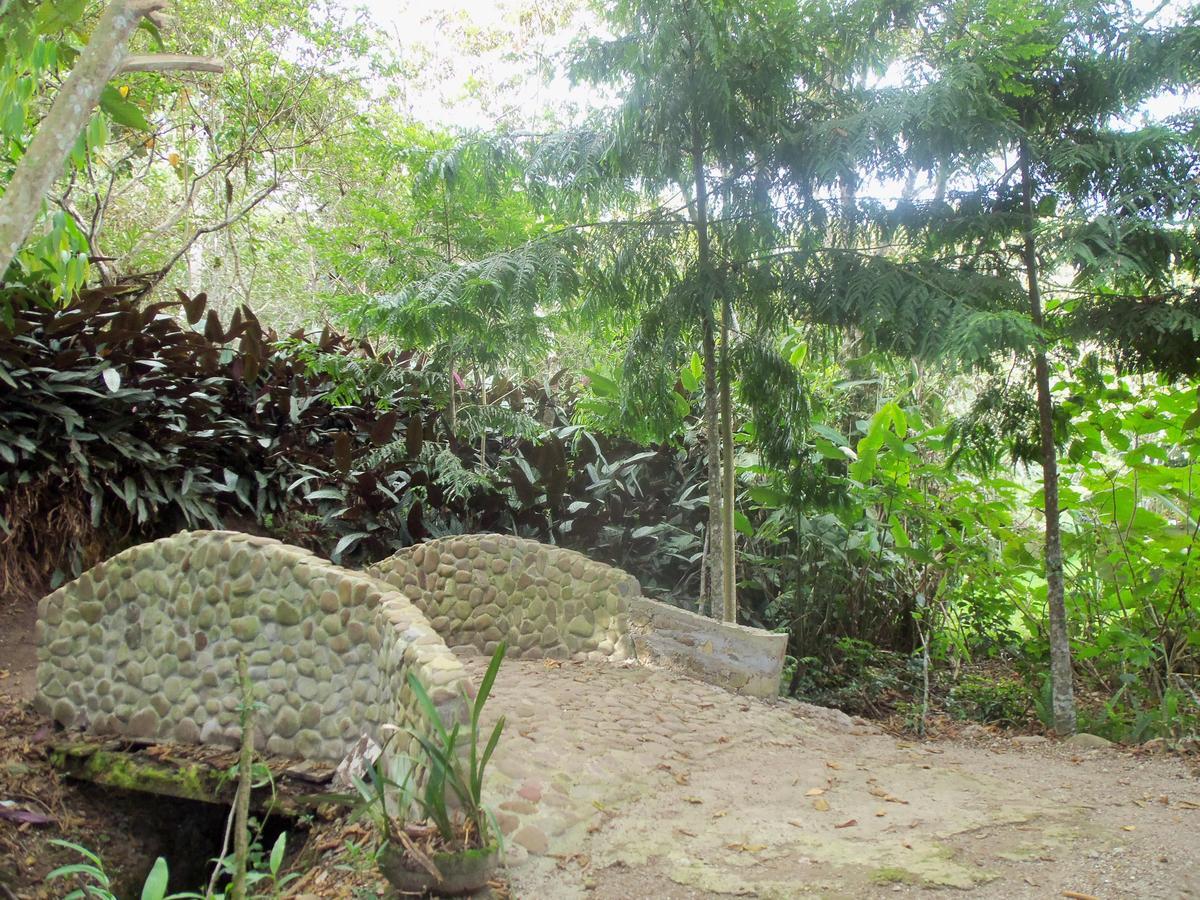 Refugio De Orquideas Lodge